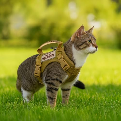 Taktisches Katzengeschirr und Leine, Set mit 2 bestickten Patches, ausbruchsicher, verstellbar, für Katzen, inklusive einziehbarer Leine und Kontrollgriff Taktisches Katzengeschirr und Leine, Set mit 2 bestickten Patches, ausbruchsicher, verstellbar, für Katzen, inklusive einziehbarer Leine und Kontrollgriff von Homaisson