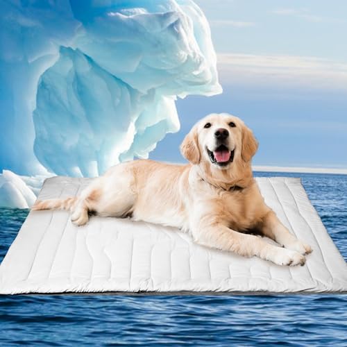 Homcolorful Hundematte-Bett Homcolorful Hundematte-Bett von Homcolorful
