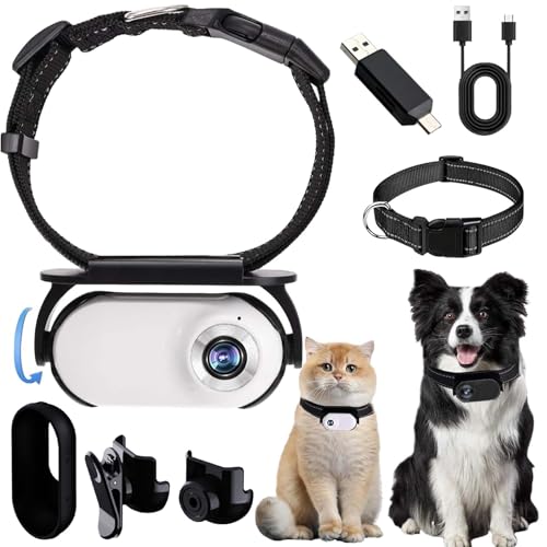 HomeJoySet 16G Weißes HD 1080p Haustierkamerahalsband - Leichtgewicht 22 G, 170° Weitwinkel, IPX7 Wasserdicht, 240 Min Akku, Mini-Action-Cam for Katzen(W,No Card) von HomeJoySet