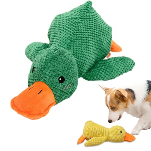 HomeJoySet Verbessertes Hundespielzeug Aus Weichem Plüsch In Form Einer Quakenden Ente – Ideal for Spielen Im Haus, for Alle Größen Und Rassen(Green) von HomeJoySet