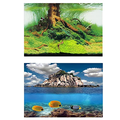 HomeSoGood 40,6 x 61 cm Aquarium-Hintergrund, Landschaftsposter, Ozean, Meer, doppelseitig, Korallenriff, Aquasscape, Malerei für Aquarium von HomeSoGood