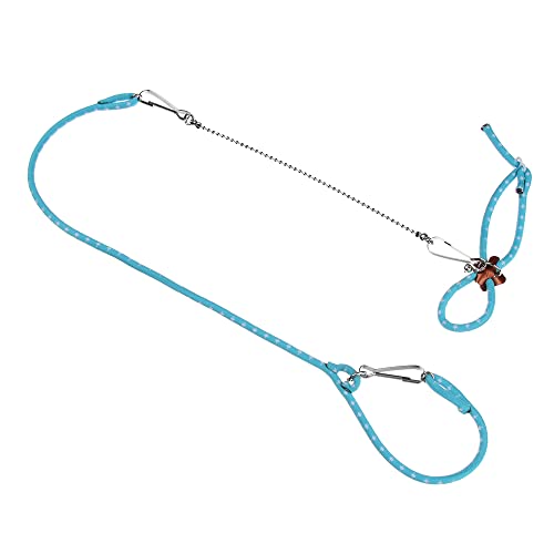 HomeSoGood Verstellbares Hamster-Geschirr für kleine Haustiere, weiches Geschirr, Leine, Glocke für Eichhörnchen, Meerschweinchen, Spazierengehen, Training (blau) von HomeSoGood
