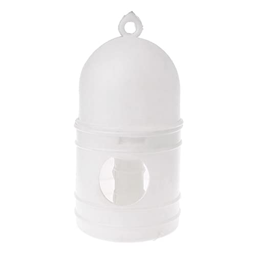 HomeSoGood Wasserspender für Tauben, Vogel, Weiß, 1 l, Weiß HomeSoGood Wasserspender für Tauben, Vogel, Weiß, 1 l, Weiß von HomeSoGood
