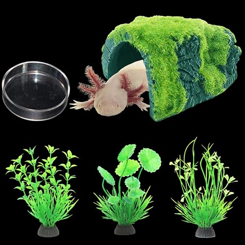 Axolotl Verstecke für Aquarium mit Futternapf und Kunstpflanzen, Axolotl-Höhle mit Grünpflanzen, Aquarium-Dekor, Aquarium-Dekoration, Schildkrötenbecken-Zubehör (Höhle+Pflanze+Futterschale, L) von Homedy Crafts