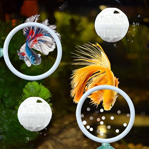 Betta Fisch-Trainingsring und Filterbälle, Betta-Ring-Trainingsschlaufe mit Saugnapf und Nitriierungsball, Betta-Anreicherungsspielzeug, Aquarium-Spielzeug für Fischschildkrötenbecken, kleines Betta Fisch-Trainingsring und Filterbälle, Betta-Ring-Trainingsschlaufe mit Saugnapf und Nitriierungsball, Betta-Anreicherungsspielzeug, Aquarium-Spielzeug für Fischschildkrötenbecken, kleines von Homedy Crafts