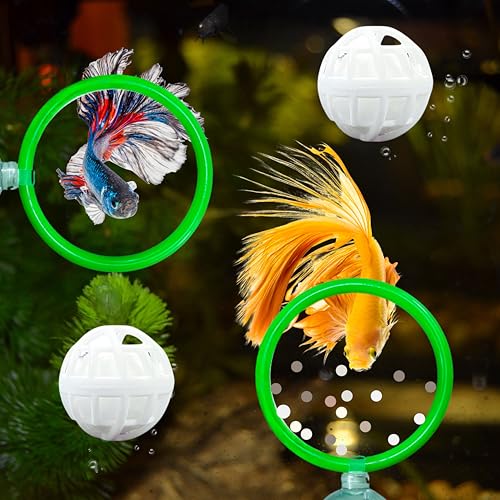 Betta Fisch-Trainingsring und Filterbälle, Fisch-Futterring und Nitriierungsball, Betta-Fischspielzeug für kleines Aquarium, Betta-Ring, Beta-Fisch-Trainingsschlaufe, Aquarium-Spielzeug für Haustiere Betta Fisch-Trainingsring und Filterbälle, Fisch-Futterring und Nitriierungsball, Betta-Fischspielzeug für kleines Aquarium, Betta-Ring, Beta-Fisch-Trainingsschlaufe, Aquarium-Spielzeug für Haustiere von Homedy Crafts