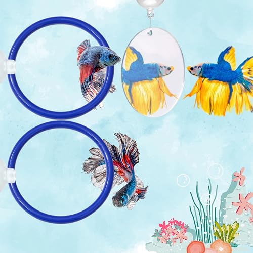 Betta Fischanreicherungsspielzeug, Ring und Spiegel, schwimmender Übungsspiegel und Trainingsring, schwimmender Spiegel für Aquarium mit Futterringen, Fischspielzeug, Betta-Aquarium-Zubehör (blau + von Homedy Crafts