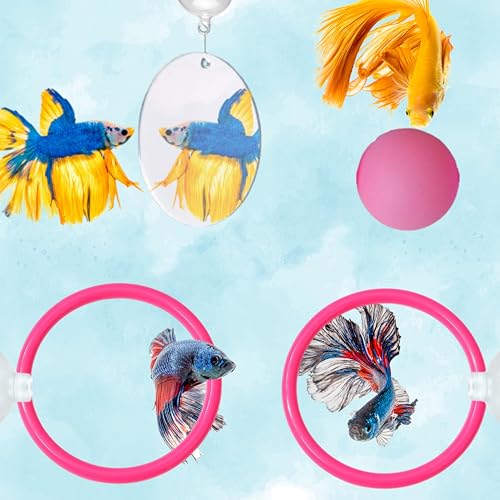 Betta Fischanreicherungsspielzeugring mit Spiegel und schwimmendem Ball, Übungsspiegel und Trainingsring, schwimmende Spiegel Aquarium mit Futterringen, Betta-Aquarium-Zubehör (Rosa + Spiegel + Ball von Homedy Crafts