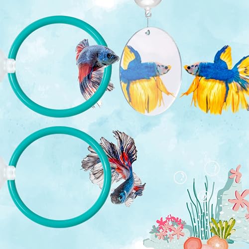 Betta-Ring-Anreicherungsspielzeug mit 1 Betta-Spiegel, Übungsring und schwimmendem Spiegel für Aquarium, Futterringe mit schwimmenden Spiegeln, Fischspielzeug, Bettas-Spielzeug (Blaugrün, M-70 mm) von Homedy Crafts