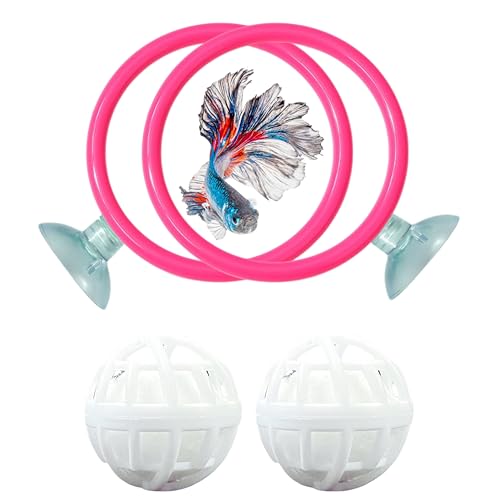 Betta Ring Anreicherungsspielzeug mit Filterball-Set, Schildkrötenwasserreinigerball, Aquarium-Futterring mit nitrifizierenden Kugeln, Betta-Fischspielzeug, Wasserschildkröten-Anreicherungsspielzeug Betta Ring Anreicherungsspielzeug mit Filterball-Set, Schildkrötenwasserreinigerball, Aquarium-Futterring mit nitrifizierenden Kugeln, Betta-Fischspielzeug, Wasserschildkröten-Anreicherungsspielzeug von Homedy Crafts