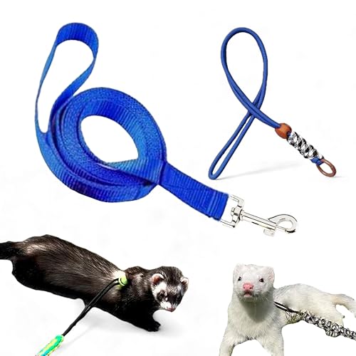 Geschirr für Frettchen, verstellbar, Eichhörnchen, Blau Geschirr für Frettchen, verstellbar, Eichhörnchen, Blau von Homedy Crafts