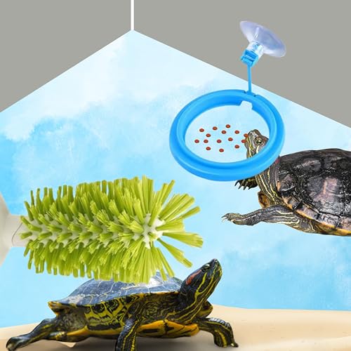 Schildkrötenbürste mit Saugnapf und Futterring, Schildkrötenpanzerbürste und Schildkrötenfutterspender, Aquarium Spielzeug für Schildkröten, Schildkröte Tank Zubehör, Aquarium Spielzeug, Fisch von Homedy Crafts