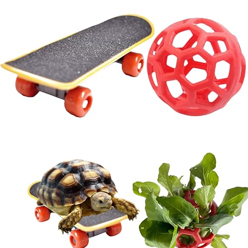 Training Skateboard Spielzeug und Schildkröte Leckerli Ball Set, Schildkröte Feeder Ball und Lustiges Skateboard, Schildkröte Spielzeug Fütterungsbälle Gemüse Gras Für Kleintiere Haustiere Training Skateboard Spielzeug und Schildkröte Leckerli Ball Set, Schildkröte Feeder Ball und Lustiges Skateboard, Schildkröte Spielzeug Fütterungsbälle Gemüse Gras Für Kleintiere Haustiere von Homedy Crafts