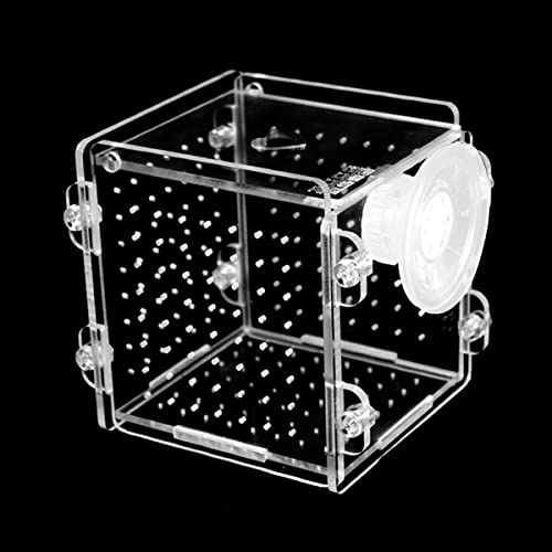 Homeriy Fischzuchtbox Acrylisolation Box mit Saugnapf Aquarium Fisch Brüterei Inkubator von Homeriy