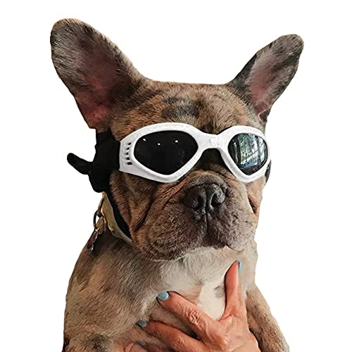 Homesupplier Hundesonnenbrille für kleine und mittelgroße Haustiere Hunde Brille Welpen Augenschutz Winddicht UV-Schutz Tierärzte empfohlen Augenschutz, PVC, weiß, Einheitsgröße von Homesupplier