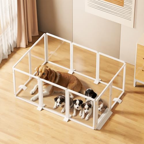 Homfstyi Laufstall aus transparentem Acryl, 65 cm hoch, transparenter Hundezaun mit Stützfüßen, modulares Innengehege für kleine Haustiere, einfache Montage (10 Paneele, Weiß) von Homfstyi
