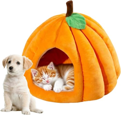 Halloween-Katzenhaus – Kürbis-Katzenhöhle | Kürbis-Innenhütte | Hunde-Plüschbett für Schlafzimmer | Balkon Erkerfenster im Freien, Schlafsaal, Wohnung, Wohnzimmer, Haustier-Wohnung, Zubehör Halloween-Katzenhaus – Kürbis-Katzenhöhle | Kürbis-Innenhütte | Hunde-Plüschbett für Schlafzimmer | Balkon Erkerfenster im Freien, Schlafsaal, Wohnung, Wohnzimmer, Haustier-Wohnung, Zubehör von Homg