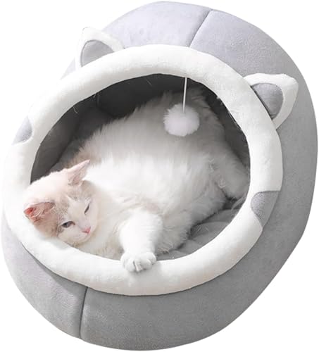 Katzen -Chat -Bett für Hundebett, Faltbare 2 in 1 weiche und heiße Nische für Haustiere, Samtbetten im Innenbereich im Freien, hellgrau süße Katze - bequemes Schlafzimmer Katzen -Chat -Bett für Hundebett, Faltbare 2 in 1 weiche und heiße Nische für Haustiere, Samtbetten im Innenbereich im Freien, hellgrau süße Katze - bequemes Schlafzimmer von Homg