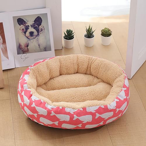 Katzenbetten für Hauskatzen,warm, für Winterkatzen, dick und kuschelig, für kleine Tiere, Kätzchen oder Welpen, ideal für Ruhe, Spiel, Reisen und drinnen und draußen Katzenbetten für Hauskatzen,warm, für Winterkatzen, dick und kuschelig, für kleine Tiere, Kätzchen oder Welpen, ideal für Ruhe, Spiel, Reisen und drinnen und draußen von Homg