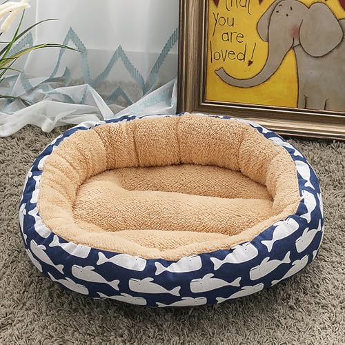 Katzenbetten für Hauskatzen,warm, für Winterkatzen, dick und kuschelig, für kleine Tiere, Kätzchen oder Welpen, ideal für Ruhe, Spiel, Reisen und drinnen und draußen Katzenbetten für Hauskatzen,warm, für Winterkatzen, dick und kuschelig, für kleine Tiere, Kätzchen oder Welpen, ideal für Ruhe, Spiel, Reisen und drinnen und draußen von Homg