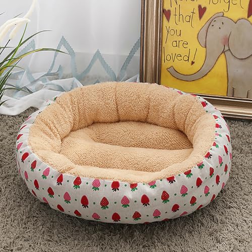 Katzenbetten für Hauskatzen,warm, für Winterkatzen, dick und kuschelig, für kleine Tiere, Kätzchen oder Welpen, ideal für Ruhe, Spiel, Reisen und drinnen und draußen Katzenbetten für Hauskatzen,warm, für Winterkatzen, dick und kuschelig, für kleine Tiere, Kätzchen oder Welpen, ideal für Ruhe, Spiel, Reisen und drinnen und draußen von Homg