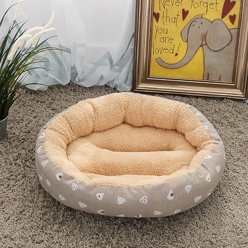 Katzenbetten für Hauskatzen,warm, für Winterkatzen, dick und kuschelig, für kleine Tiere, Kätzchen oder Welpen, ideal für Ruhe, Spiel, Reisen und drinnen und draußen Katzenbetten für Hauskatzen,warm, für Winterkatzen, dick und kuschelig, für kleine Tiere, Kätzchen oder Welpen, ideal für Ruhe, Spiel, Reisen und drinnen und draußen von Homg
