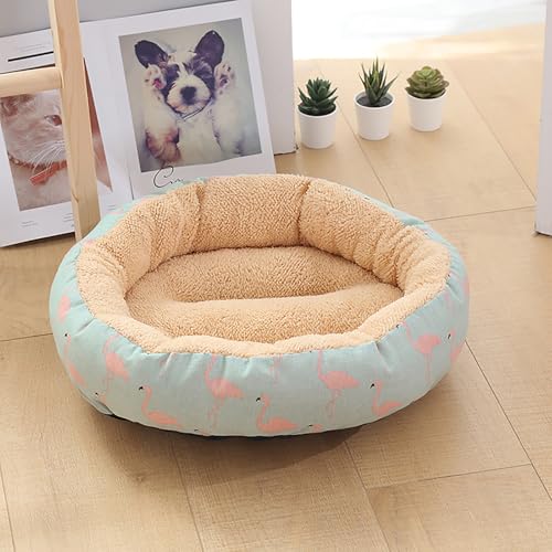 Katzenbetten für Hauskatzen,warm, für Winterkatzen, dick und kuschelig, für kleine Tiere, Kätzchen oder Welpen, ideal für Ruhe, Spiel, Reisen und drinnen und draußen Katzenbetten für Hauskatzen,warm, für Winterkatzen, dick und kuschelig, für kleine Tiere, Kätzchen oder Welpen, ideal für Ruhe, Spiel, Reisen und drinnen und draußen von Homg
