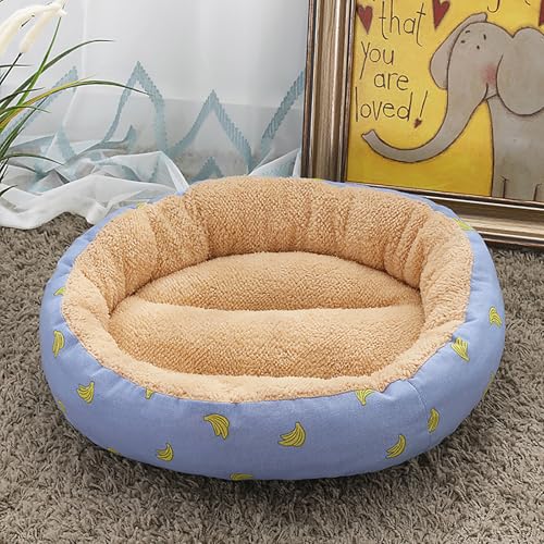 Katzenhaus Indoor, Katzenbett, Waschbares hundebett, Katzenhaus Indoor Mit Abnehmbarem Plüsch Kissenkissen, Verbessert Den Schlaf, Katzenhaus Für Draußen, für Welpe Katzenhaus Indoor, Katzenbett, Waschbares hundebett, Katzenhaus Indoor Mit Abnehmbarem Plüsch Kissenkissen, Verbessert Den Schlaf, Katzenhaus Für Draußen, für Welpe von Homg