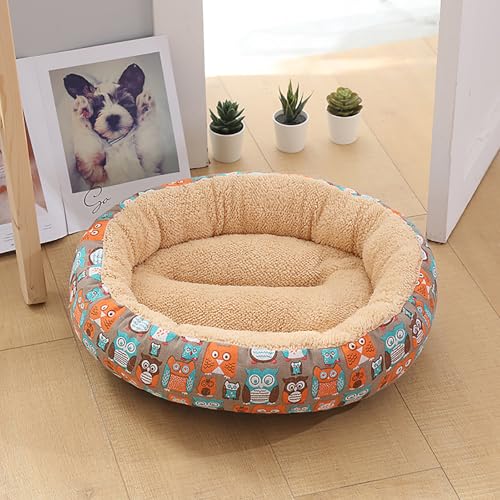 Katzenhaus Indoor, Katzenbett, Waschbares hundebett, Katzenhaus Indoor Mit Abnehmbarem Plüsch Kissenkissen, Verbessert Den Schlaf, Katzenhaus Für Draußen, für Welpe Katzenhaus Indoor, Katzenbett, Waschbares hundebett, Katzenhaus Indoor Mit Abnehmbarem Plüsch Kissenkissen, Verbessert Den Schlaf, Katzenhaus Für Draußen, für Welpe von Homg
