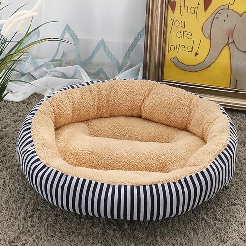 Katzenhaus Indoor, Katzenbett, Waschbares hundebett, Katzenhaus Indoor Mit Abnehmbarem Plüsch Kissenkissen, Verbessert Den Schlaf, Katzenhaus Für Draußen, für Welpe Katzenhaus Indoor, Katzenbett, Waschbares hundebett, Katzenhaus Indoor Mit Abnehmbarem Plüsch Kissenkissen, Verbessert Den Schlaf, Katzenhaus Für Draußen, für Welpe von Homg