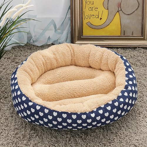 Katzenhaus Indoor, Katzenbett, Waschbares hundebett, Katzenhaus Indoor Mit Abnehmbarem Plüsch Kissenkissen, Verbessert Den Schlaf, Katzenhaus Für Draußen, für Welpe Katzenhaus Indoor, Katzenbett, Waschbares hundebett, Katzenhaus Indoor Mit Abnehmbarem Plüsch Kissenkissen, Verbessert Den Schlaf, Katzenhaus Für Draußen, für Welpe von Homg