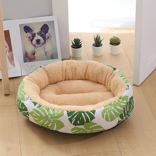 Katzenhaus Indoor, Katzenbett, Waschbares hundebett, Katzenhaus Indoor Mit Abnehmbarem Plüsch Kissenkissen, Verbessert Den Schlaf, Katzenhaus Für Draußen, für Welpe Katzenhaus Indoor, Katzenbett, Waschbares hundebett, Katzenhaus Indoor Mit Abnehmbarem Plüsch Kissenkissen, Verbessert Den Schlaf, Katzenhaus Für Draußen, für Welpe von Homg