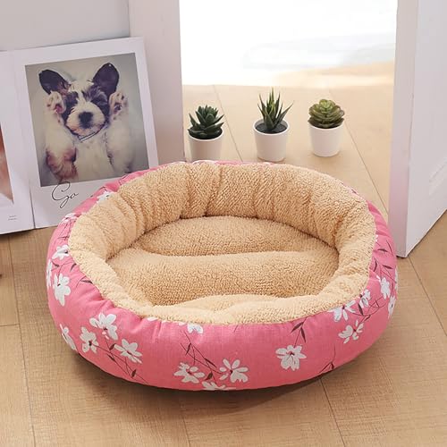 Katzenhaus Indoor, Katzenbett, Waschbares hundebett, Katzenhaus Indoor Mit Abnehmbarem Plüsch Kissenkissen, Verbessert Den Schlaf, Katzenhaus Für Draußen, für Welpe Katzenhaus Indoor, Katzenbett, Waschbares hundebett, Katzenhaus Indoor Mit Abnehmbarem Plüsch Kissenkissen, Verbessert Den Schlaf, Katzenhaus Für Draußen, für Welpe von Homg
