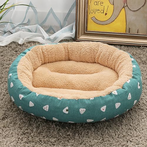 Katzenhaus Indoor, Katzenbett, Waschbares hundebett, Katzenhaus Indoor Mit Abnehmbarem Plüsch Kissenkissen, Verbessert Den Schlaf, Katzenhaus Für Draußen, für Welpe Katzenhaus Indoor, Katzenbett, Waschbares hundebett, Katzenhaus Indoor Mit Abnehmbarem Plüsch Kissenkissen, Verbessert Den Schlaf, Katzenhaus Für Draußen, für Welpe von Homg