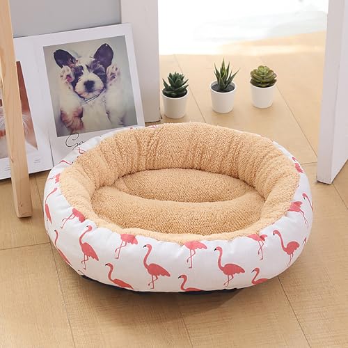 Katzenhaus Indoor, Katzenbett, Waschbares hundebett, Katzenhaus Indoor Mit Abnehmbarem Plüsch Kissenkissen, Verbessert Den Schlaf, Katzenhaus Für Draußen, für Welpe Katzenhaus Indoor, Katzenbett, Waschbares hundebett, Katzenhaus Indoor Mit Abnehmbarem Plüsch Kissenkissen, Verbessert Den Schlaf, Katzenhaus Für Draußen, für Welpe von Homg