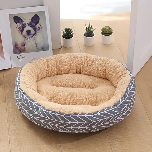 Katzenhaus Indoor, Katzenbett, Waschbares hundebett, Katzenhaus Indoor Mit Abnehmbarem Plüsch Kissenkissen, Verbessert Den Schlaf, Katzenhaus Für Draußen, für Welpe Katzenhaus Indoor, Katzenbett, Waschbares hundebett, Katzenhaus Indoor Mit Abnehmbarem Plüsch Kissenkissen, Verbessert Den Schlaf, Katzenhaus Für Draußen, für Welpe von Homg