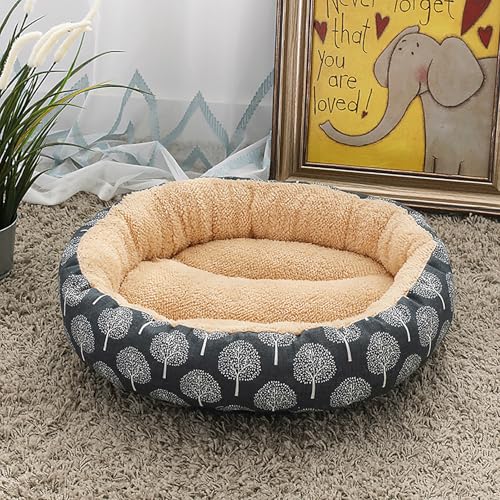 Katzenhaus Indoor, Katzenbett, Waschbares hundebett, Katzenhaus Indoor Mit Abnehmbarem Plüsch Kissenkissen, Verbessert Den Schlaf, Katzenhaus Für Draußen, für Welpe Katzenhaus Indoor, Katzenbett, Waschbares hundebett, Katzenhaus Indoor Mit Abnehmbarem Plüsch Kissenkissen, Verbessert Den Schlaf, Katzenhaus Für Draußen, für Welpe von Homg
