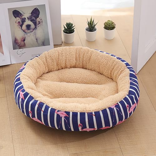 Katzenhaus Indoor, Katzenbett, Waschbares hundebett, Katzenhaus Indoor Mit Abnehmbarem Plüsch Kissenkissen, Verbessert Den Schlaf, Katzenhaus Für Draußen, für Welpe Katzenhaus Indoor, Katzenbett, Waschbares hundebett, Katzenhaus Indoor Mit Abnehmbarem Plüsch Kissenkissen, Verbessert Den Schlaf, Katzenhaus Für Draußen, für Welpe von Homg