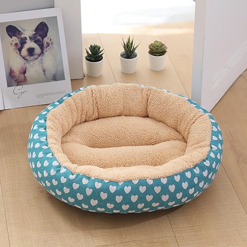 Katzenhaus Indoor, Katzenbett, Waschbares hundebett, Katzenhaus Indoor Mit Abnehmbarem Plüsch Kissenkissen, Verbessert Den Schlaf, Katzenhaus Für Draußen, für Welpe Katzenhaus Indoor, Katzenbett, Waschbares hundebett, Katzenhaus Indoor Mit Abnehmbarem Plüsch Kissenkissen, Verbessert Den Schlaf, Katzenhaus Für Draußen, für Welpe von Homg