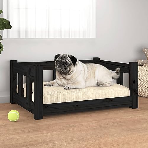 Homgoday Hundebett Schwarz 65,5 x 50,5 x 28 cm Massivholz Kiefer Hundebett Große Katzenbetten für Indoor Katzen und Welpen, Hundebett Sofa, Hundebett Matte für mittelgroße und große Haustiere Tiere & Homgoday Hundebett Schwarz 65,5 x 50,5 x 28 cm Massivholz Kiefer Hundebett Große Katzenbetten für Indoor Katzen und Welpen, Hundebett Sofa, Hundebett Matte für mittelgroße und große Haustiere Tiere & von Homgoday