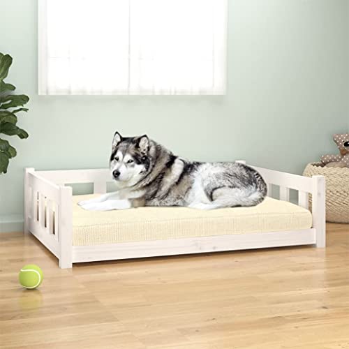 Homgoday Hundebett Weiß 105,5x75,5x28 cm Massivholz Kiefer Hundebett Große Katzenbetten für Indoor Katzen und Welpe Hundebett Sofa Hundebett Matte für Mittlere und Große Haustiere 2308 Homgoday Hundebett Weiß 105,5x75,5x28 cm Massivholz Kiefer Hundebett Große Katzenbetten für Indoor Katzen und Welpe Hundebett Sofa Hundebett Matte für Mittlere und Große Haustiere 2308 von Homgoday