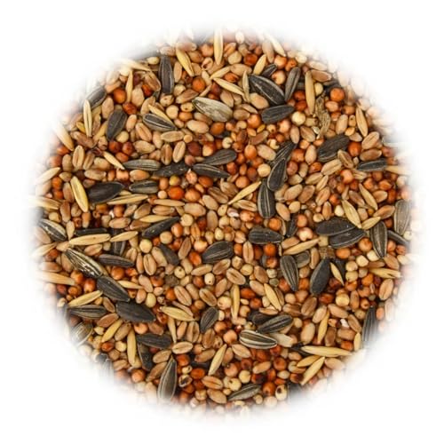 Homgoday Premium Vogelfutter 25 kg - Hochenergetische Samenmischung für Winterwärme & Gesundheit Model170898 Homgoday Premium Vogelfutter 25 kg - Hochenergetische Samenmischung für Winterwärme & Gesundheit Model170898 von Homgoday