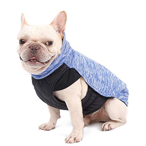 Homieco Herbst Winter Hundemantel Jacke, Doppelseitige Haustierjacke, Warme Haustier Jacke Hundejacke Hundepullover für Hunde - Blau von Homieco