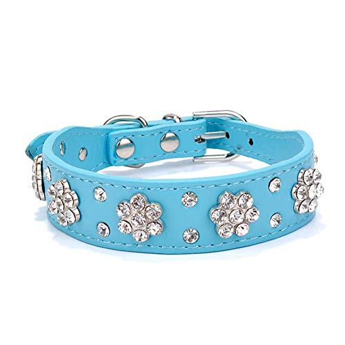 Homieco Hundehalsbänder aus Leder mit Strasssteinen, funkelnden Kristalldiamanten, Callor, für kleine/mittelgroße Hunde, M/blau von Homieco