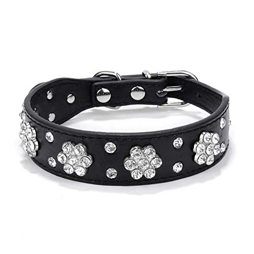 Homieco Hundehalsbänder mit Strassbesatz, Leder, verziert mit funkelnden Kristalldiamanten Callor für kleine/mittelgroße Hunde, S/Schwarz Homieco Hundehalsbänder mit Strassbesatz, Leder, verziert mit funkelnden Kristalldiamanten Callor für kleine/mittelgroße Hunde, S/Schwarz von Homieco