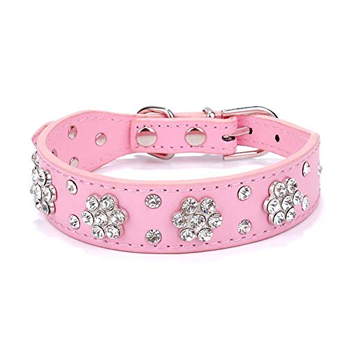 Homieco Hundehalsbänder aus Leder mit Strasssteinen, funkelnden Kristalldiamanten, Callor, für kleine/mittelgroße Hunde, XS/Rosa Homieco Hundehalsbänder aus Leder mit Strasssteinen, funkelnden Kristalldiamanten, Callor, für kleine/mittelgroße Hunde, XS/Rosa von Homieco