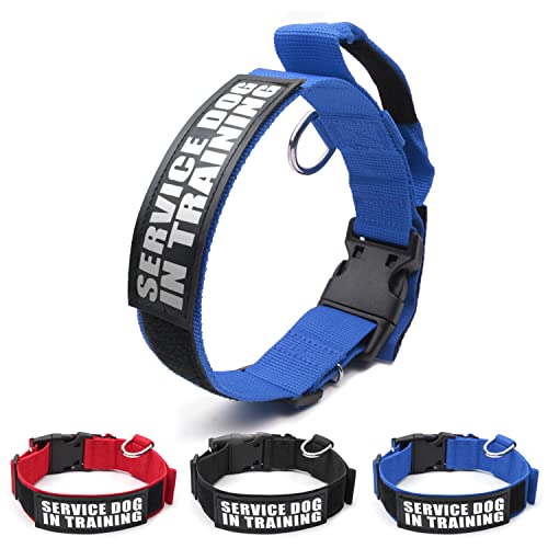 【 3 Farben in 3 Größen 】 Kaufestes Diensthundehalsband zum Trainieren von Hundehalsband, taktisches Hundehalsband, militärisches, für 39.4 cm ~ 47 cm Halsumfang (M, blau) von Homiego