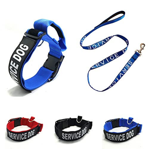 【3 Farben und 3 Größen】 K.9 Service-Hundehalsband, taktisches Halsband, militärisches Halsband mit reflektierendem Patch für große Hunde mit 39,4 cm ~ 47 cm Halsumfang (M, blau, Halsband + Leine) von Homiego