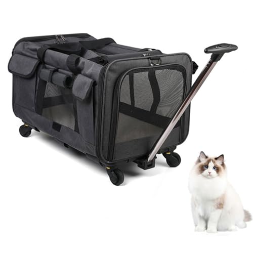 Transportbox für Hunde, Katzen, atmungsaktive Transporttasche für Haustiere, mit Rädern und Griff, 43 x 39 x 60 cm, Transport mit abnehmbarer Unterlage für Hund und Katze (Tiefgrau) von Homizo