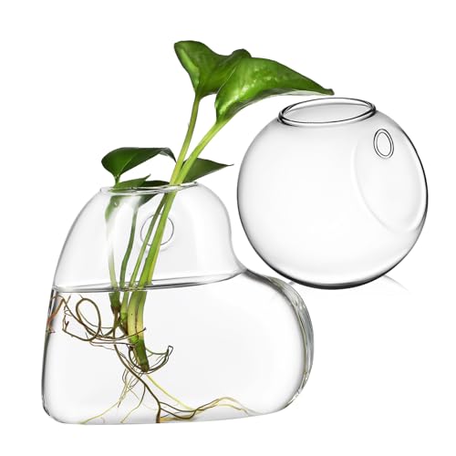 Homoyoyo 2 Stück Hängende Glasblumenvase Borosilikatglas Wandpflanzgefäße für Einfache mit Zubehör Stilvolle Dekoration für Innenräume und Aquarien Homoyoyo 2 Stück Hängende Glasblumenvase Borosilikatglas Wandpflanzgefäße für Einfache mit Zubehör Stilvolle Dekoration für Innenräume und Aquarien von Homoyoyo
